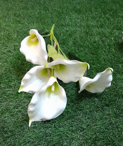 h:60cm  Calla Lilly Bunch