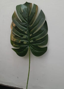 h:70 w:25cm Philo Leaf Large