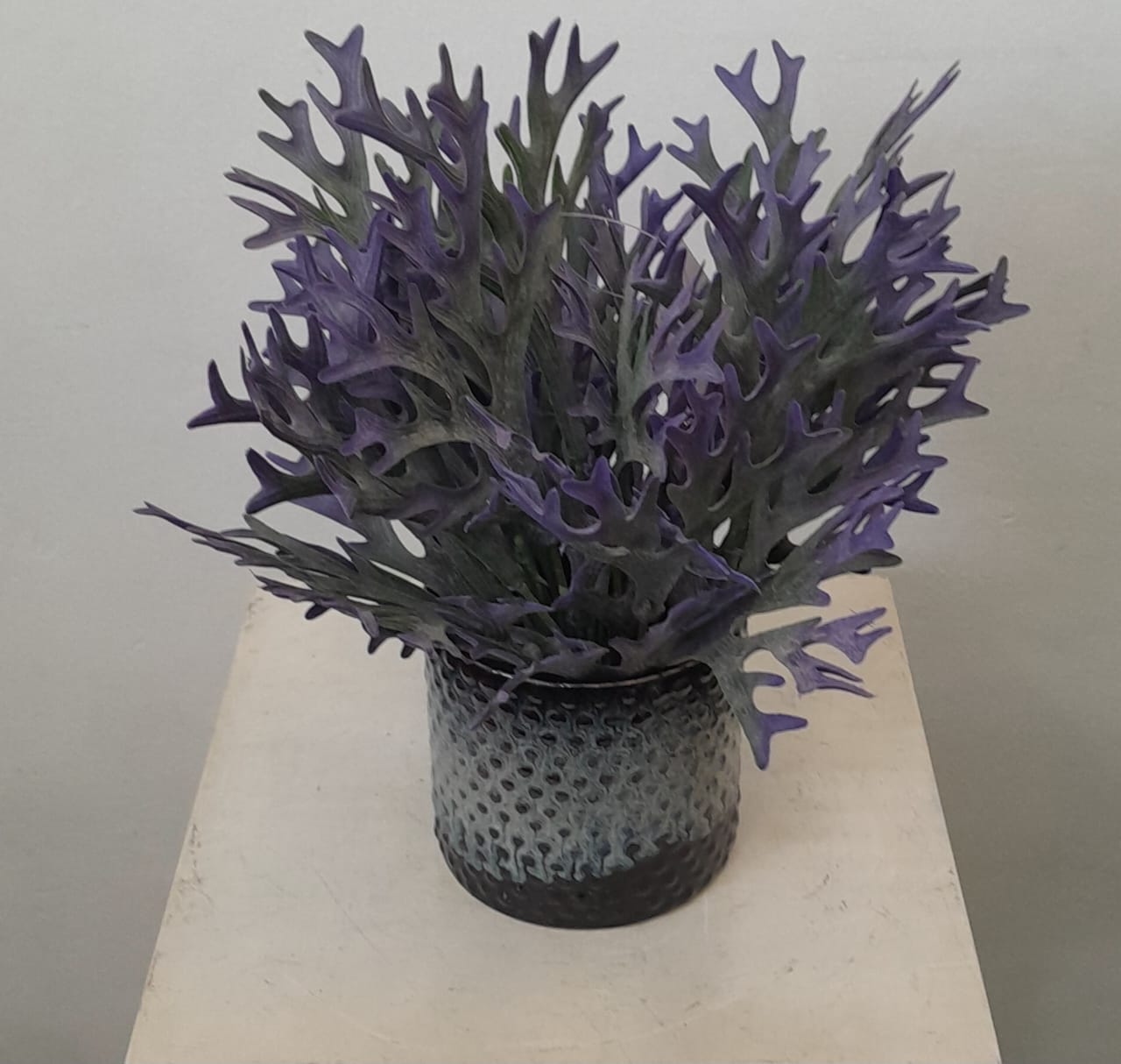 Artificial Floral Arrangement (h:28cm w:28cm)